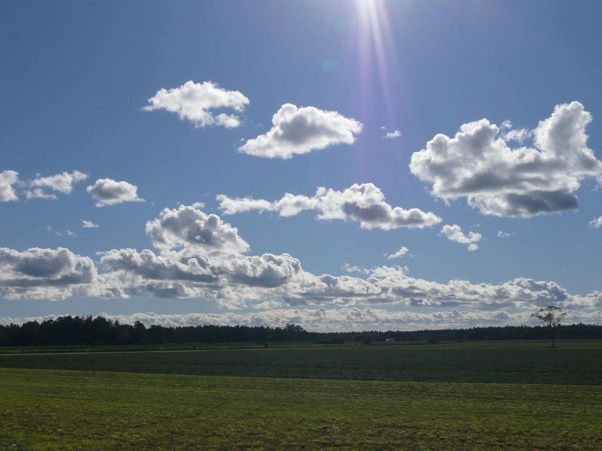 Swedish Idyll 호텔 Årstad 외부 사진